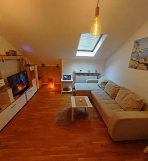 Cozy apartment near the center